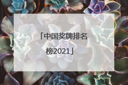 「中国奖牌排名榜2021」中国奖牌排名榜2021 俄罗斯