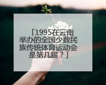1995在云南举办的全国少数民族传统体育运动会是第几届？