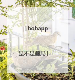 bobapp是不是骗局