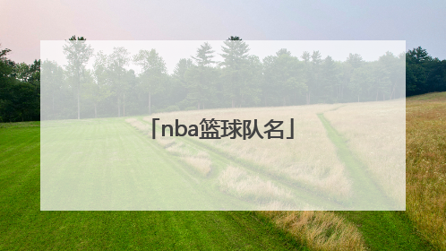 「nba篮球队名」nba篮球队名大全及队员